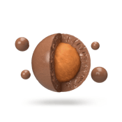 Chocolate Fusions Salted Caramel Crunch CBD 5pc