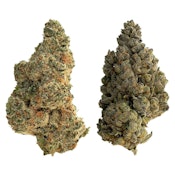 Splitter (28g) - The Loud Plug