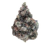 Country Club - Cactus Milk 14g