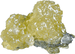 Tribal - Galactic RNTZ Live Resin | 1g