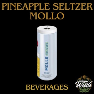 Mollo - Pineapple Seltzer - 355ml