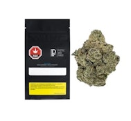 Rockstar 7G