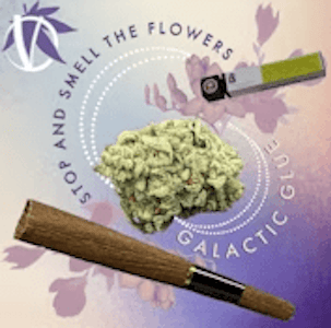 Virtue Cannabis - Iced Mocha 1 x 1g Infused Blunt