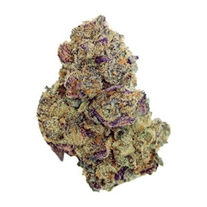 Cheap & Cheerful - Oreo Mint Kush - Cheap & Cheerful - 14