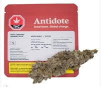 Koots Canna - Moon Burst (7g)