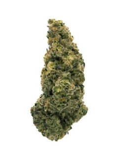 Parcel  - SWEET NOTES (GRAPE CREAM CAKE) - 14G