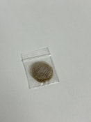 .625 Brass Screens- 5 Pack