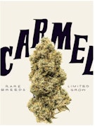 Animal Face (lot 50)