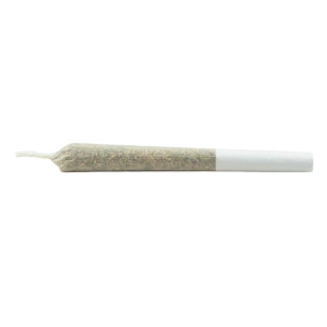 OCS - Daily Special - Indica Js Pre-Roll - 7x0.3g