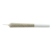 Jack Haze Pre-Roll 2x0.5g Pre-Rolls - Sativa