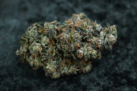 Saltspring Magic - HIPPIE HEADBANGER - SMALLS  - 28G