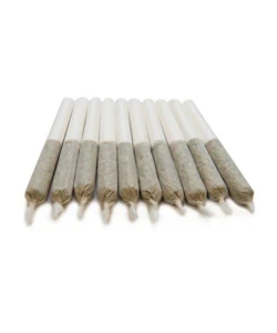 Space Race Cannabis - Astropauts Pre-Roll Sativa (10x0.4g)