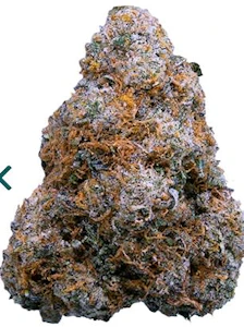 JR Strain - LEGACY RESERVE | J.R Strain - 7g Flower | Balance