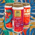 6C SUN SEEKER HAZY IPA 6x355ml