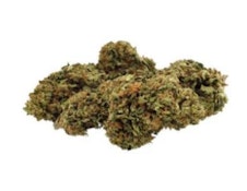 DAY DREAMIN' INFUSED CBD - 3.5 GRAMS