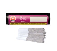 GastroPop Pre-Rolls 10 x 0.5g Pre-Rolls