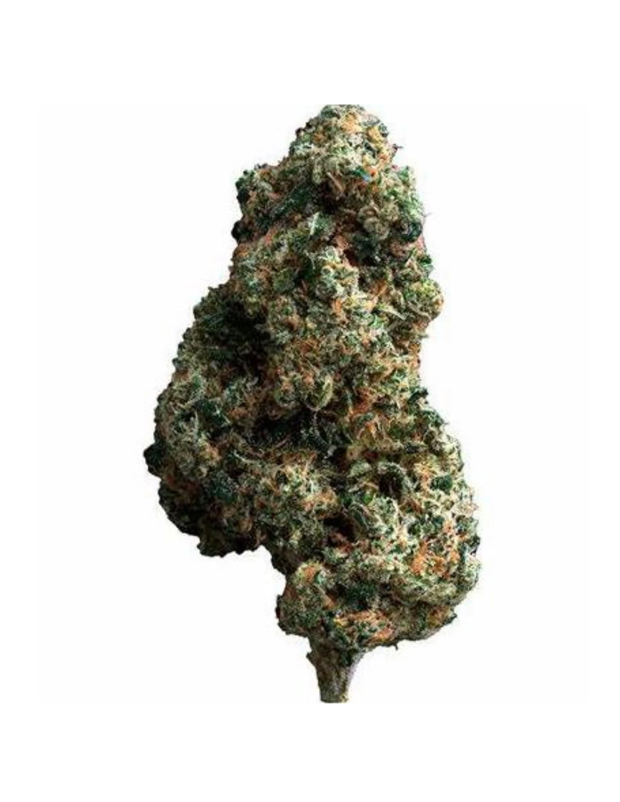 The Loud Plug - CHERRY DIESEL - 7 GRAMS Main Image