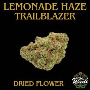 Trailblazer - Lemonade Haze - 7g