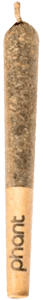 Phant - Phant - Diamond Infused Pre-Roll 1x1g | 1g