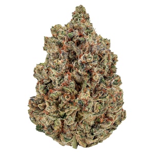 Cheers Cannabis - Sugar Daddy 7g Dried Flower