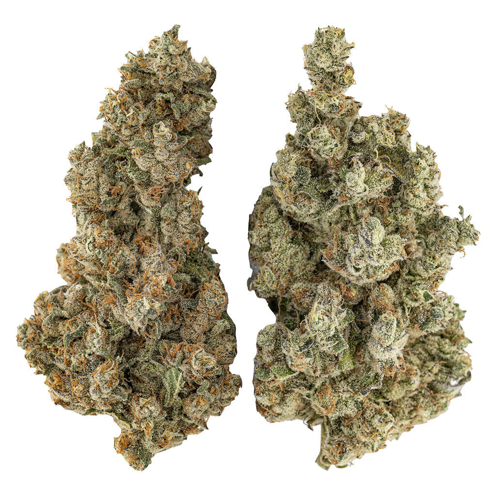Organic Butter Cookies x Organic NYC Juggernaut 28g Dried Flower