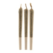 SUNGROWN PURPLE KUSH PRE-ROLLS - 1.5