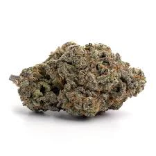 Koots Canna - TEMPTRESS Main Image