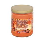 Pumpkin & Spice *Fall Seasonal*