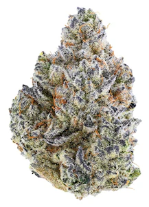 Tribal - Bubble Up | 3.5g