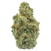 ICC Jungle Mints 3.5g