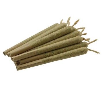 Parcel - Sweet Notes - 12 x 0.5g