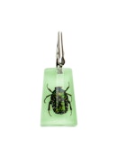 CREATURE x GEAR PREMIUM - GLOW-IN-THE-DARK CHAFER ROACH CLIP