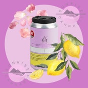 ROSEWATER LEMONADE - HYTN - SPARKLING WATER