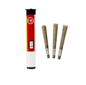Root Beer Float 3 x 0.5G