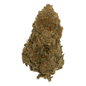 Sun Coast Cannabis Inc. - GRAPEFRUIT EXPERIENCE