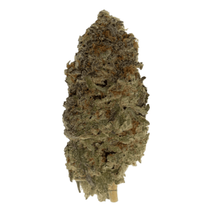 Sun Coast Cannabis Inc. - APPLE CHUNK