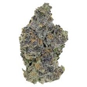 BLACKOUT BOBBY - 3.5