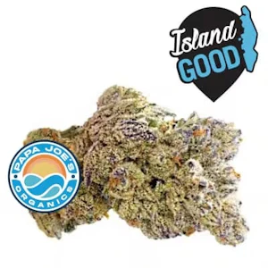 Papa Joes Organics - Papa Joe's Blueberry Shizzle