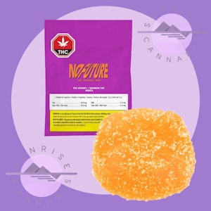 No Future - THE ORANGE ONE (CLEMENTINE) - NO FUTURE - INDICA