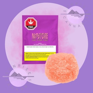 No Future - THE PINK ONE (STRAWBERRY LEMONADE) - NO FUTURE - SATIVA