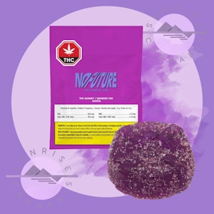 No Future - THE PURPLE ONE (GRAPE) - NO FUTURE - SATIVA