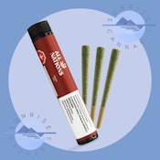 STO:LO HAZE - ALL NATIONS - 3X0.5G