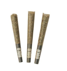 BOLD - BOLD | Orange Crush Pre-Rolls | 3 x 0.5 g