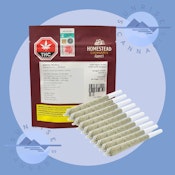 BANGTAIL - BC ORGANIC  - HOMESTEAD - 10X0.5G