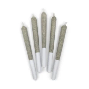 DEALR - Jelly Beanz Pre-Rolls - DEALR - 5 x 0.5