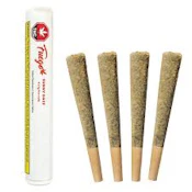 Fuego - Sunny Daze 4x1g Pre-Rolls