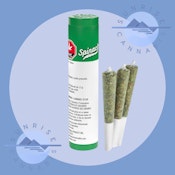 SOUR CHEM - SPINACH - 3X0.5G