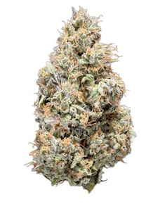 Tribal - TRIBAL | CUBAN LINX - 3.5