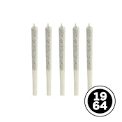 Comatose 5 x 0.5g Pre-Rolls by 1964