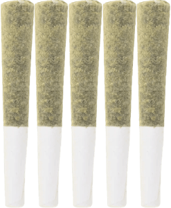 The Loud Plug - The Loud Plug - Exotic Gas Pre-Rolls 5x0.5g | 2.5g